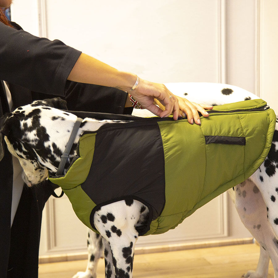 Outech White Mountain Casaco para c&atilde;es, , large Imagem n&uacute;mero 3